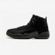 Air Jordan 12 Retro Ovo Ovo 873864 032 Nero Shop Online